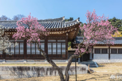 이순신 장군의 땅과 집을 180억원에 팔려고 했던 후손의 최후