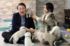 尹과 김건희가 아크로비스타서 키운 강아지,고양이 11마리의 충격 근황