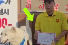 유명 연예인이 판매중인 9800원 한우가 현재 논란인 이유