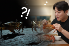 전세계가 골치 아파한 생태계 파괴범을 ‘밥도둑’으로 만든 한국인들