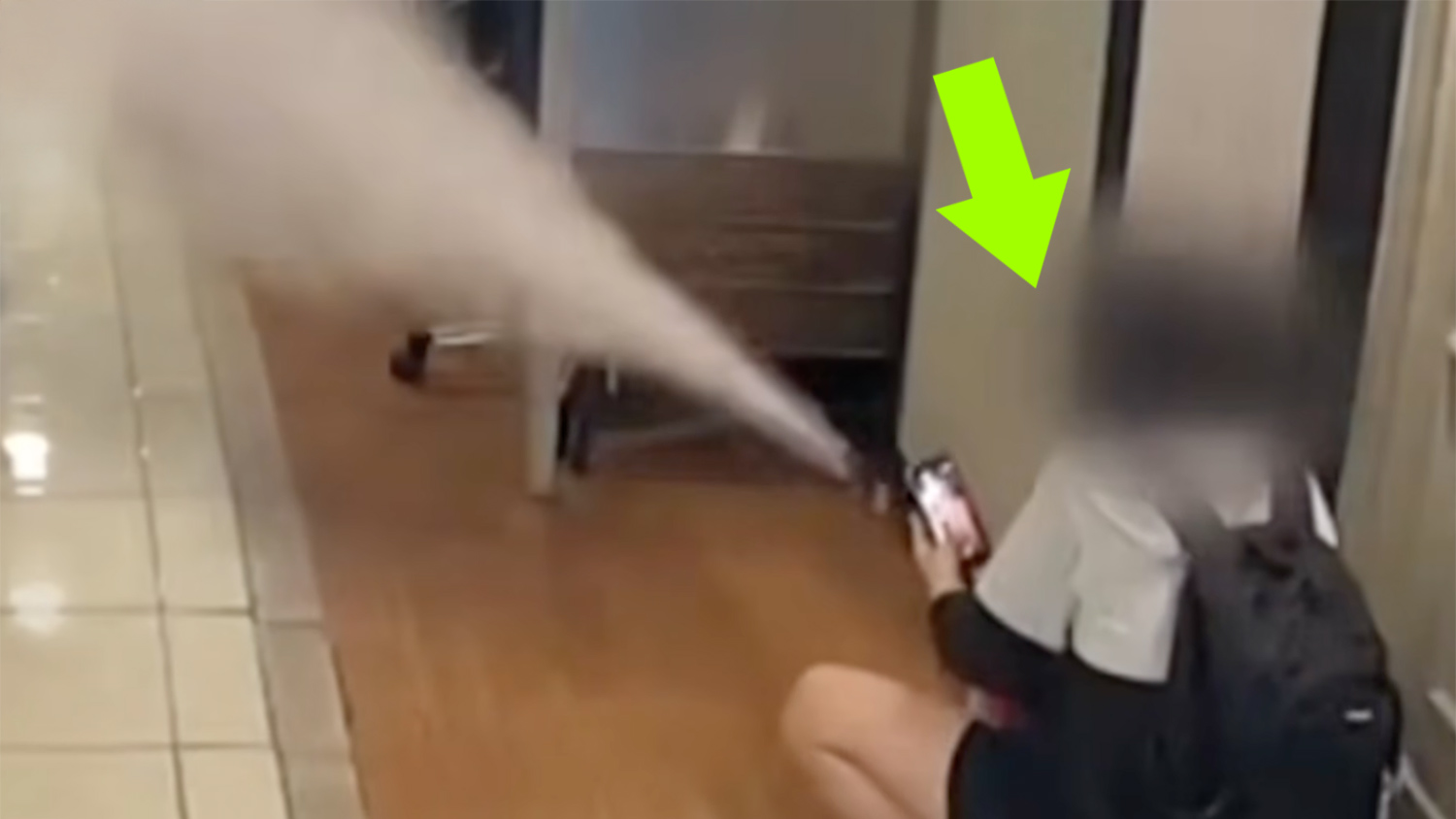 PC방에 소화기 뿌리고 도주한 여중생 2명이 맞이한 ‘참교육’ 최후