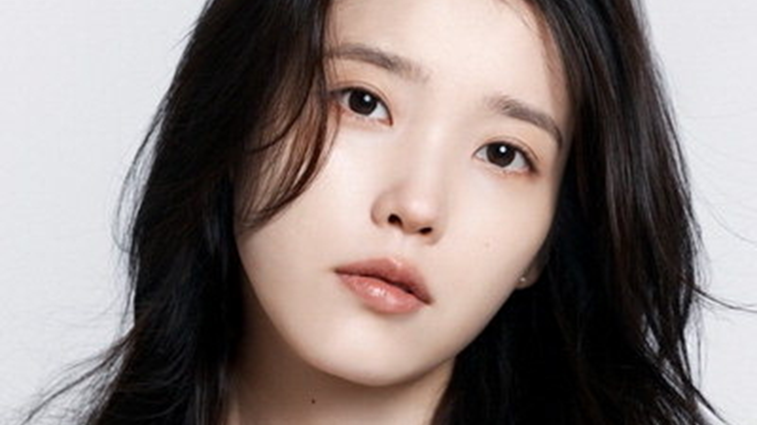 ‘사람아닌 짐승’ 아이유가 美법원에 신원 요청한 악플러가 행한 만행들